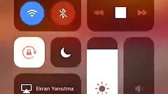 Ece Ronay Taylan turkish tiktok